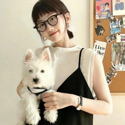 绝望主妇第三季